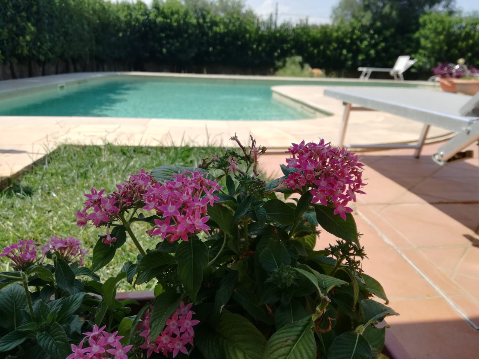 Piscina
